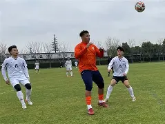 包含山东泰山内部会议纪要流出——今晚遗憾出局；法国杯使命明确；轮换策略成焦点的词条